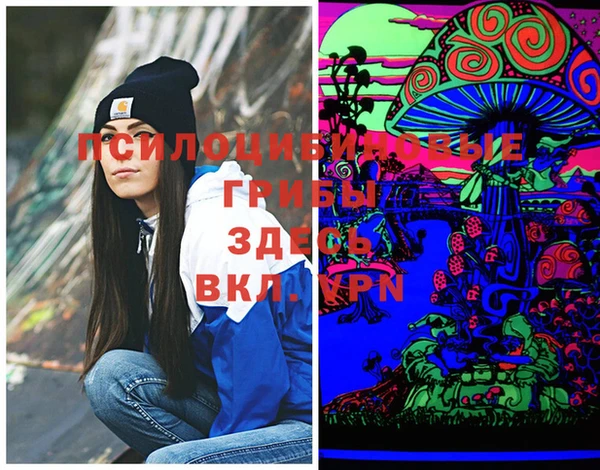 трава Бронницы