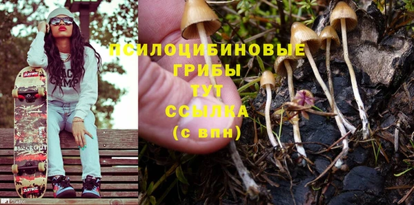 прущая мука Верхний Тагил