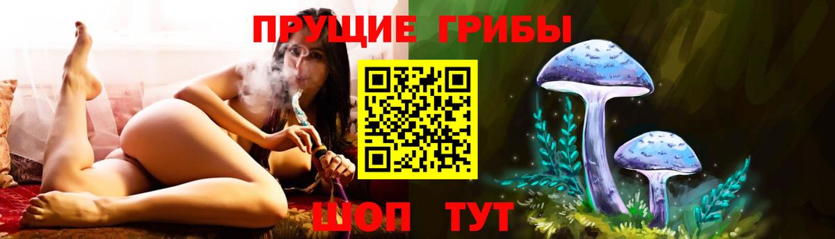 как найти наркотики  Вход с VPN  Можайск  Галлюциногенные грибы Psilocybe 